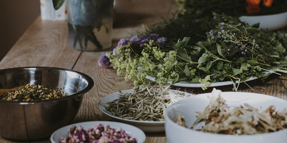 Adaptogen Recipes That Improve Energy, Vitality, Mood and Immunity