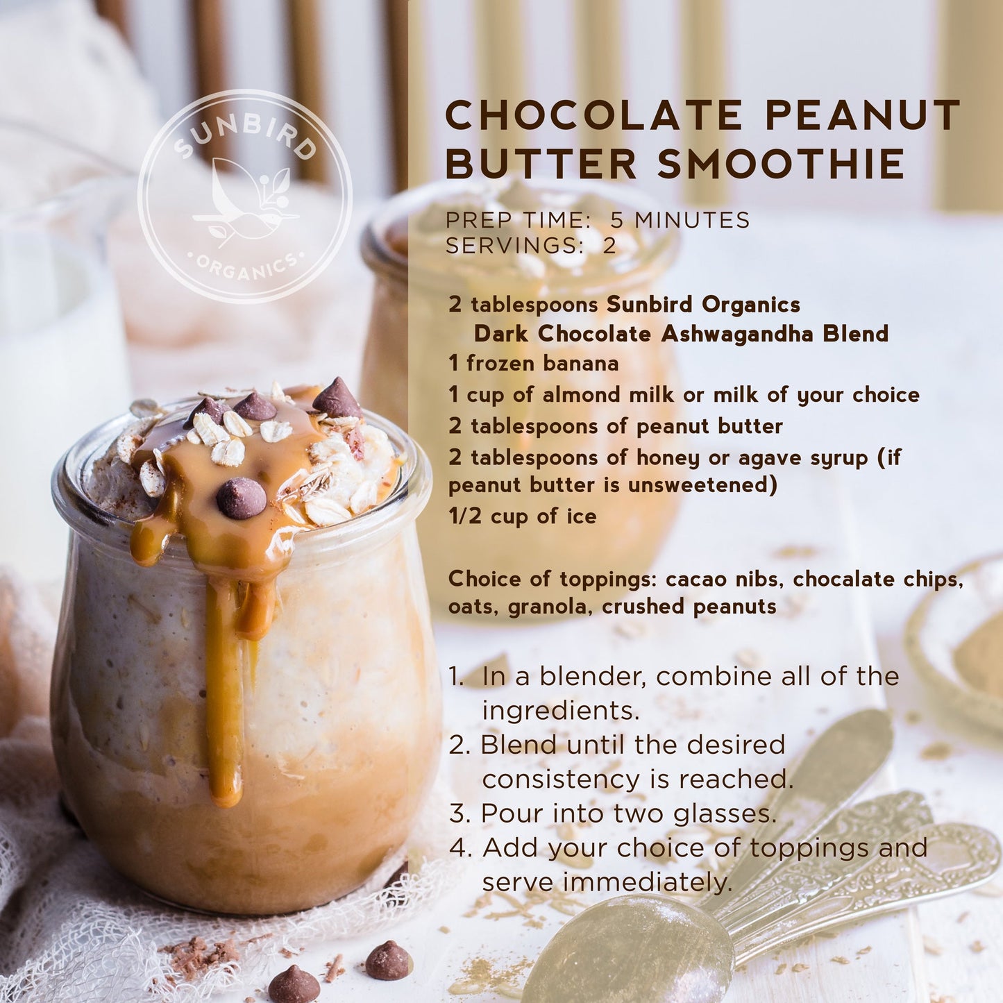 Healthy Hot Chocolate with Organic Cacao & Ashwagandha | Pre- & Probiotic Blend | 8 oz Bag