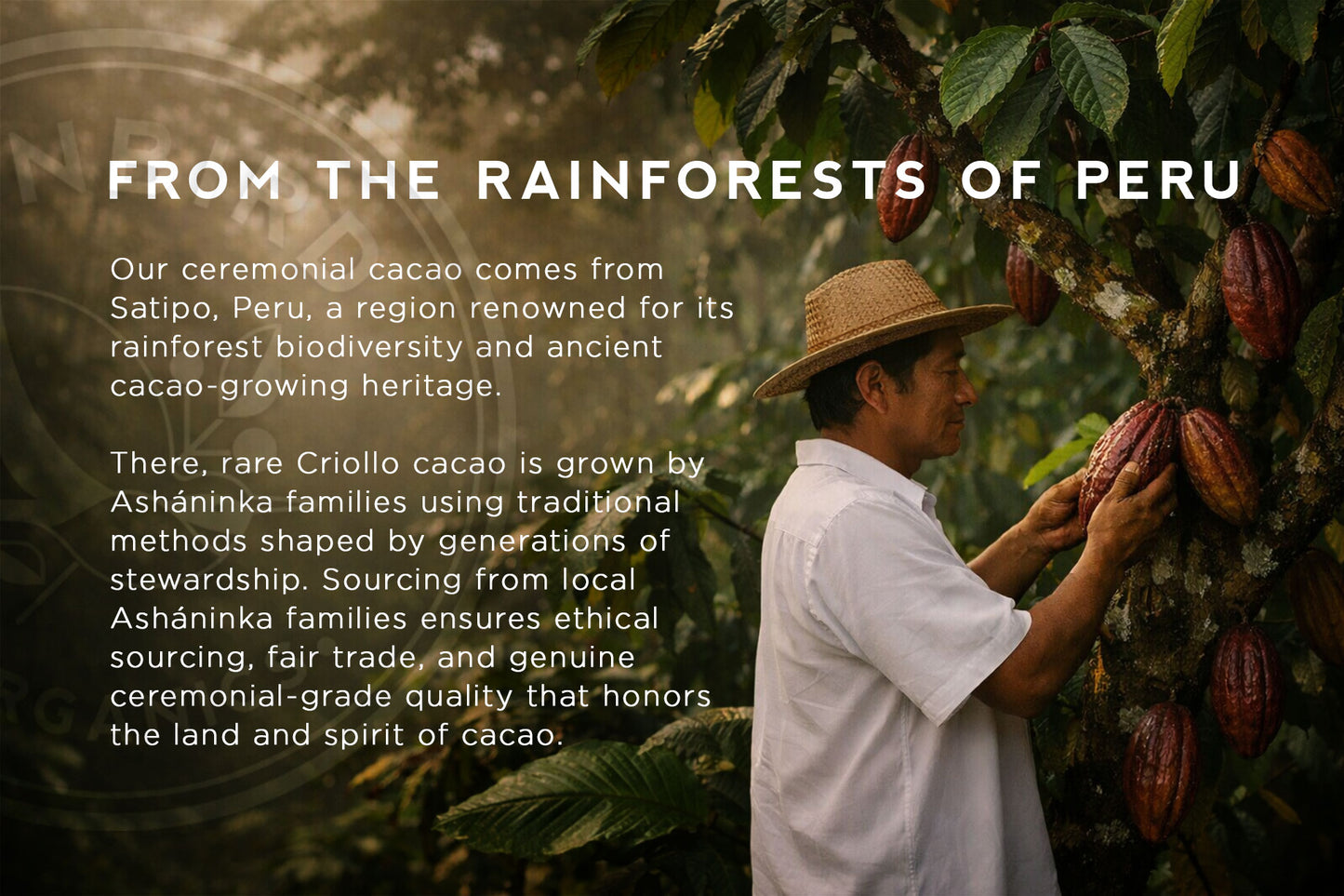 Ceremonial Cacao – 100% Organic Criollo Bean Cacao from Peru | 8 oz